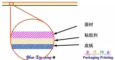 551.webp